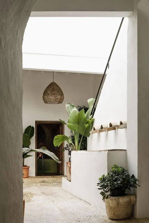 Casablanca Bano Termal Apartment Vejer de la Frontera Spain